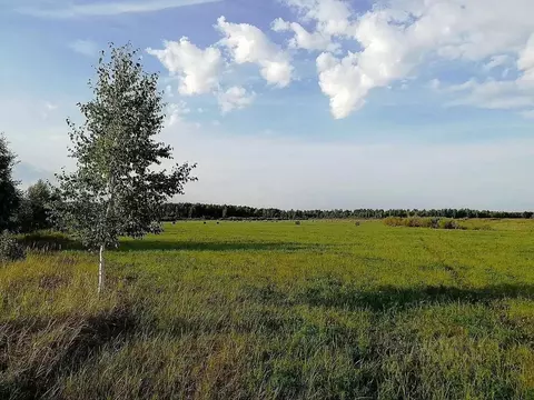 Участок в Тюменская область, Тюменский район, с. Кулига ул. Даниила ...