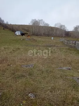 Участок в Алтайский край, Алтайский район, Айский сельсовет, с. Ая ул. ...
