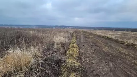 Участок в Белгородская область, Белгородский район, Крутологское ...