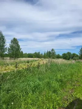 Участок в Владимирская область, Суздальский район, Павловское ...