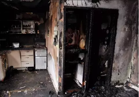 1-к кв. Ярославская область, Ярославль Ранняя ул., 9 (29.7 м)