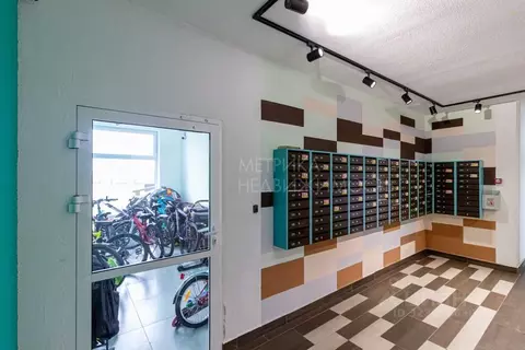 Студия Тюменская область, Тюмень Ставропольская ул., 160/1 (23.9 м)