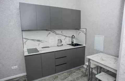 1-к кв. Тульская область, Тула Петровский квартал мкр, ул. Маршала ...