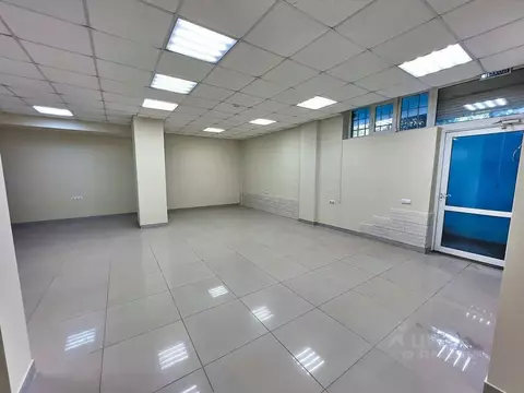 Помещение свободного назначения в Севастополь просп. Античный, 64к4 ...