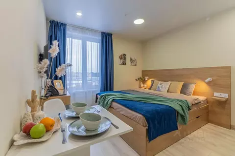 Студия Санкт-Петербург ул. Матроса Железняка, 2 (25.0 м)