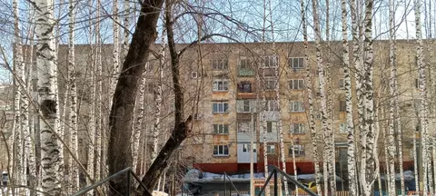 1-к кв. Пермский край, Пермь ул. Чехова, 6 (32.2 м)