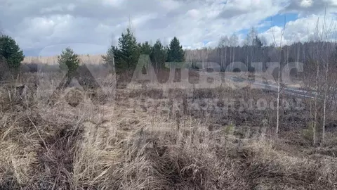 Участок в Тюменская область, Нижнетавдинский район, д. Штакульская  ...