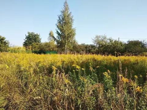 Участок в Брянская область, Брянский район, Снежское с/пос, с. ...