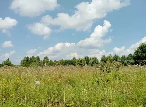 Участок в Московская область, Можайский муниципальный округ, д. ...
