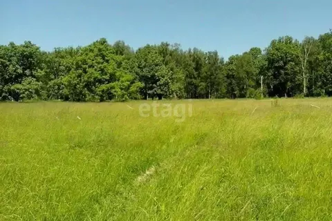 Участок в Башкортостан, Дюртюлинский район, с. Исмаилово ул. Габдуллы ...