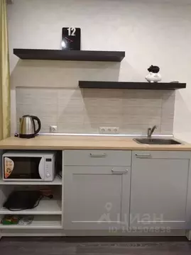 Студия Сахалинская область, Южно-Сахалинск просп. Победы, 23 (21.0 м)