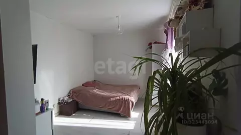 Студия Красноярский край, Красноярск ул. Алексеева, 46 (32.0 м)