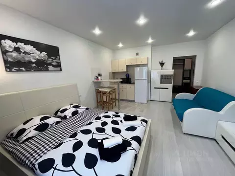 1-к кв. Московская область, Ногинск Богородский городской округ, ул. ...