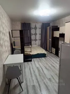 Студия Санкт-Петербург просп. Энергетиков, 9к6 (25.0 м)