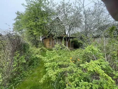 Участок в Московская область, Мытищи городской округ, д. Осташково, ...