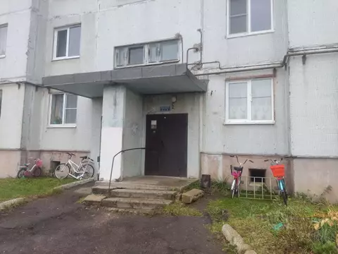 1-к кв. Новгородская область, Новгородский район, Борковское с/пос, д. ...