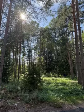 Участок в Санкт-Петербург пос. Репино, Луговая ул. (13.0 сот.)