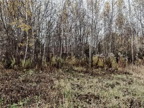 Участок в Москва Первомайское поселение, д. Фоминское, ул. Березовая ...