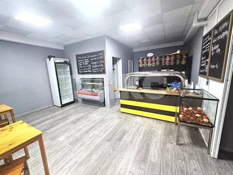 Торговая площадь в Краснодарский край, Сочи Молодогвардейская ул., 2/6 ...