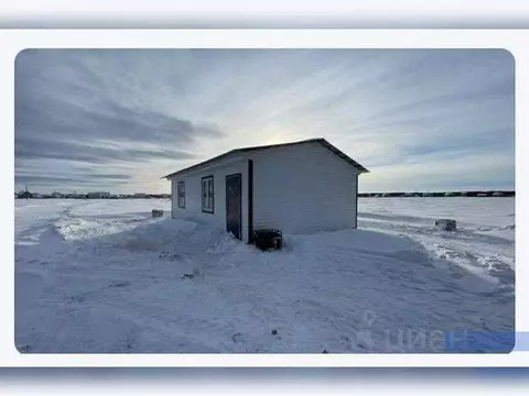 Коттедж в Башкортостан, с. Архангельское ул. Снежная, 1 (55 м)