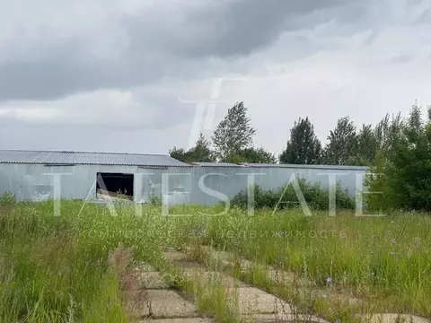 Склад в Татарстан, Лаишевский район, Столбищенское с/пос, с. Столбище ...