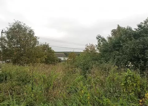 Участок в Московская область, Дмитровский муниципальный округ, д. ...