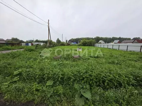 Участок в Тюменская область, Тюмень Лаванда садовое товарищество, ул. ...