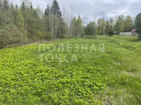 Участок в Новгородская область, Боровичский район, Сушанское с/пос, ...