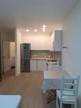 Студия Санкт-Петербург Туристская ул., 10к1 (29.0 м)