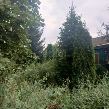 Дом в Тамбовская область, Ржаксинский муниципальный округ, д. Зароща ...