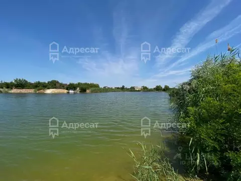 Дом в Волгоградская область, Волжский Цветущий сад СНТ, ул. Клюквенная ...