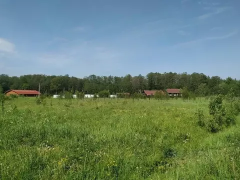 Участок в Московская область, Чехов муниципальный округ, д. Ишино  ...