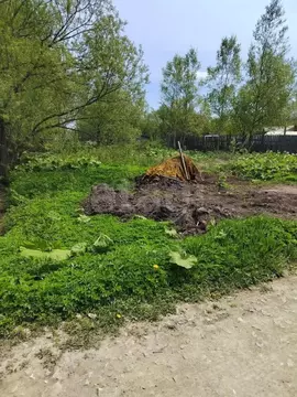 Участок в Сахалинская область, Южно-Сахалинск Дельфин СНТ, 21 (6.19 ...