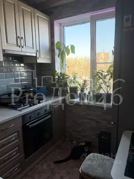 2-к кв. Курская область, Курск Магистральный проезд, 7А (44.3 м)