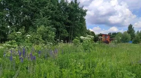 Участок в Московская область, Домодедово городской округ, с. ...