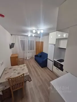 Студия Санкт-Петербург ул. Пахомовская, 10к3 (21.0 м)