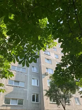 2-к кв. Калининградская область, Калининград Зеленая ул., 23 (55.0 м)