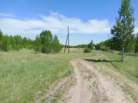 Участок в Свердловская область, Белоярский муниципальный округ, Дружба ...