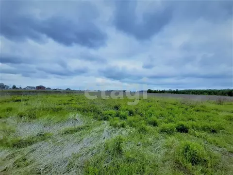 Участок в Брянская область, Брянский район, Добрунское с/пос, д. ...