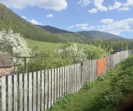 Участок в Алтай, Чемальский район, с. Ороктой ул. Центральная (25.0 ...