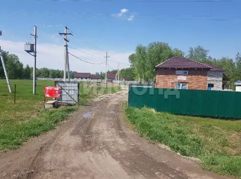 Участок в Новосибирская область, Новосибирский район, Толмачевский ...