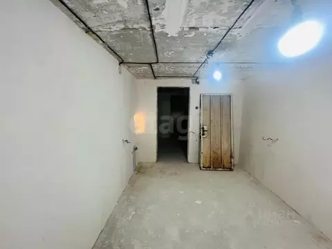 Помещение свободного назначения в Краснодарский край, Геленджик ...