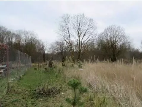 Участок в Московская область, Коломна городской округ, пос. Пески  ...