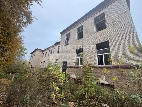 Помещение свободного назначения в Тульская область, Липки Киреевский ...