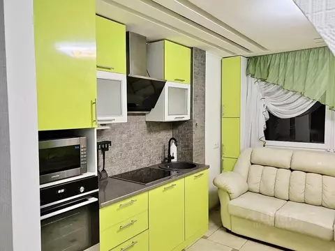 2-к кв. Московская область, Богородский городской округ, д. Щемилово ...