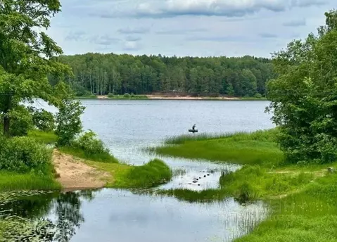 Участок в Ленинградская область, Лужский район, Заклинское с/пос, д. ...