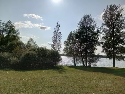 Участок в Тверская область, Осташковский муниципальный округ  (210.0 ...