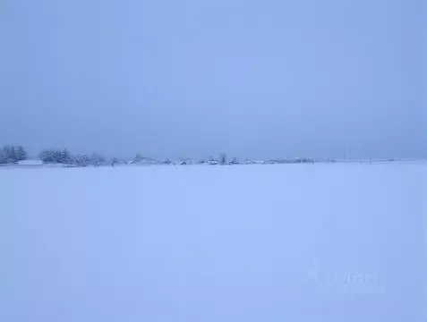 Участок в Амурская область, Белогорск городской округ, с. Низинное ул. ...