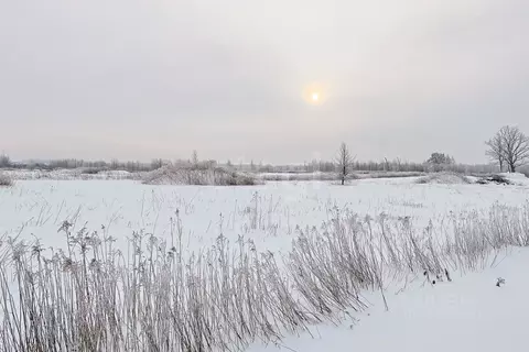 Участок в Калининградская область, Зеленоградский муниципальный округ, ...