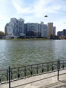 1-к кв. Москва Северное Чертаново мкр, 6к602 (45.0 м)